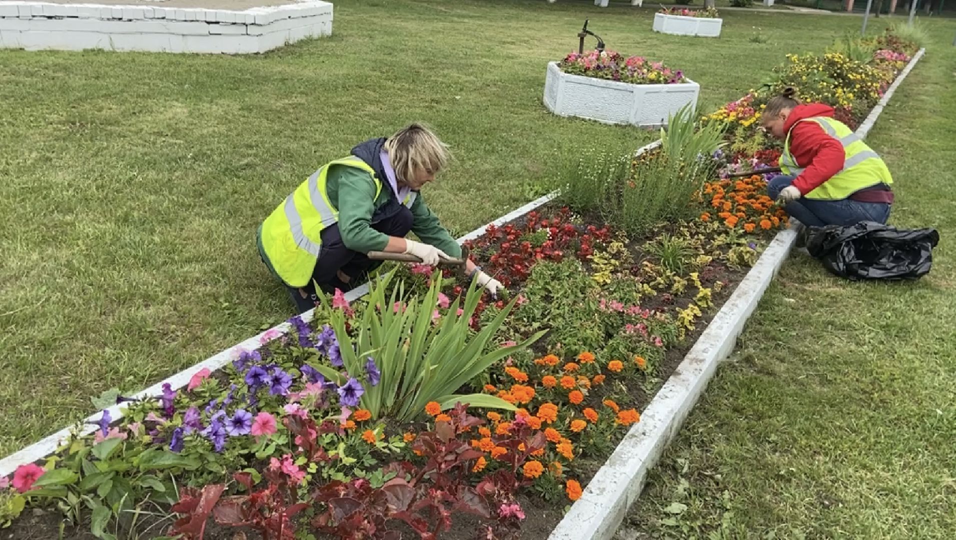 клумбы, цветники,