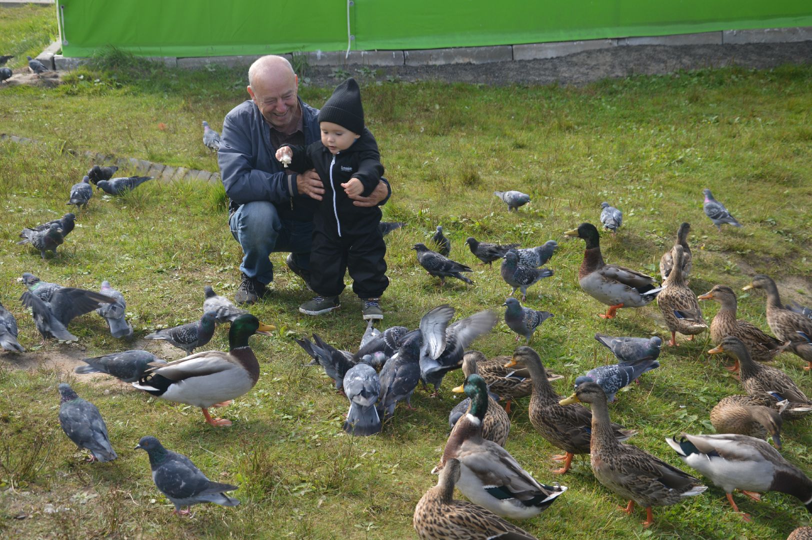 Шатура, парк, активное долголетие, игры