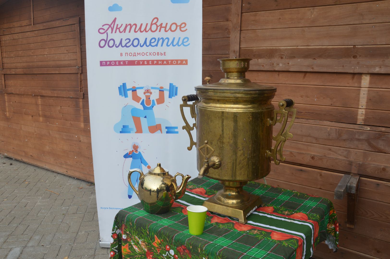 Шатура, парк, активное долголетие, игры