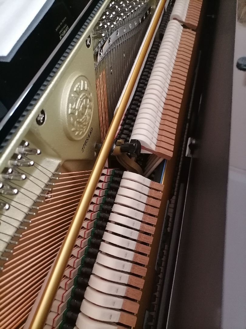 одарённыедети