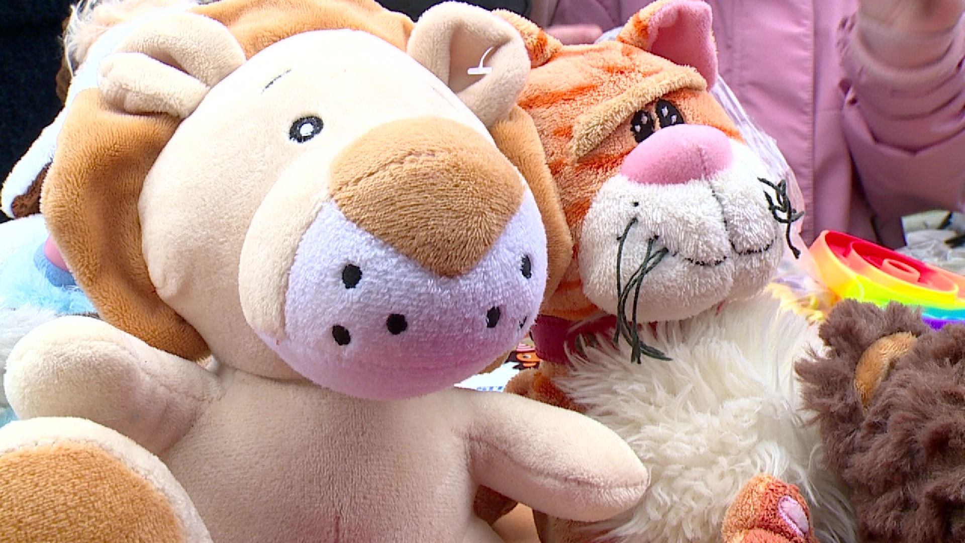 Реутов, образование, гимназия, дети, школа, активность