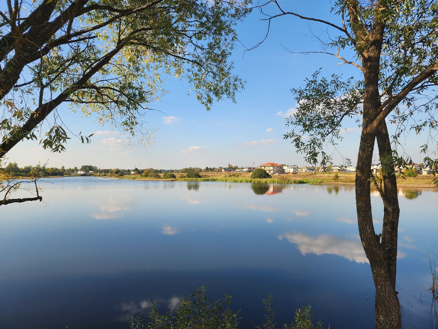 Нефедьево, Красногорск, Нахабино, Чомга, птицы, экология