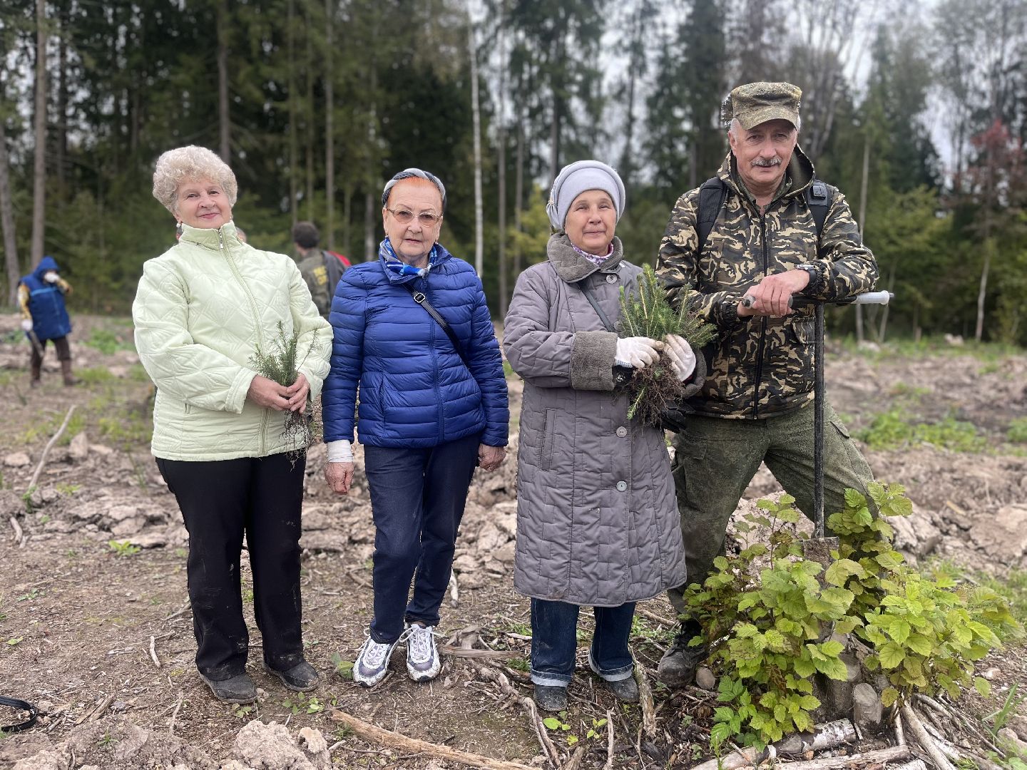 наш лес, наро-фоминск, экология, посади дерево, ёлка,верея,