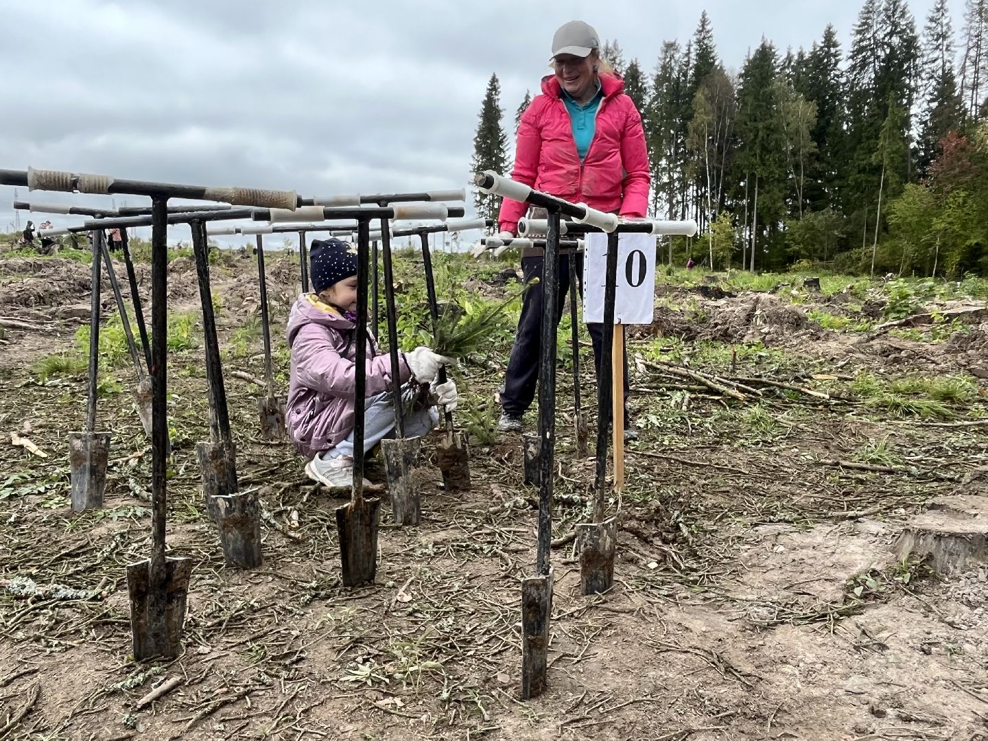 наш лес, наро-фоминск, экология, посади дерево, ёлка,верея,