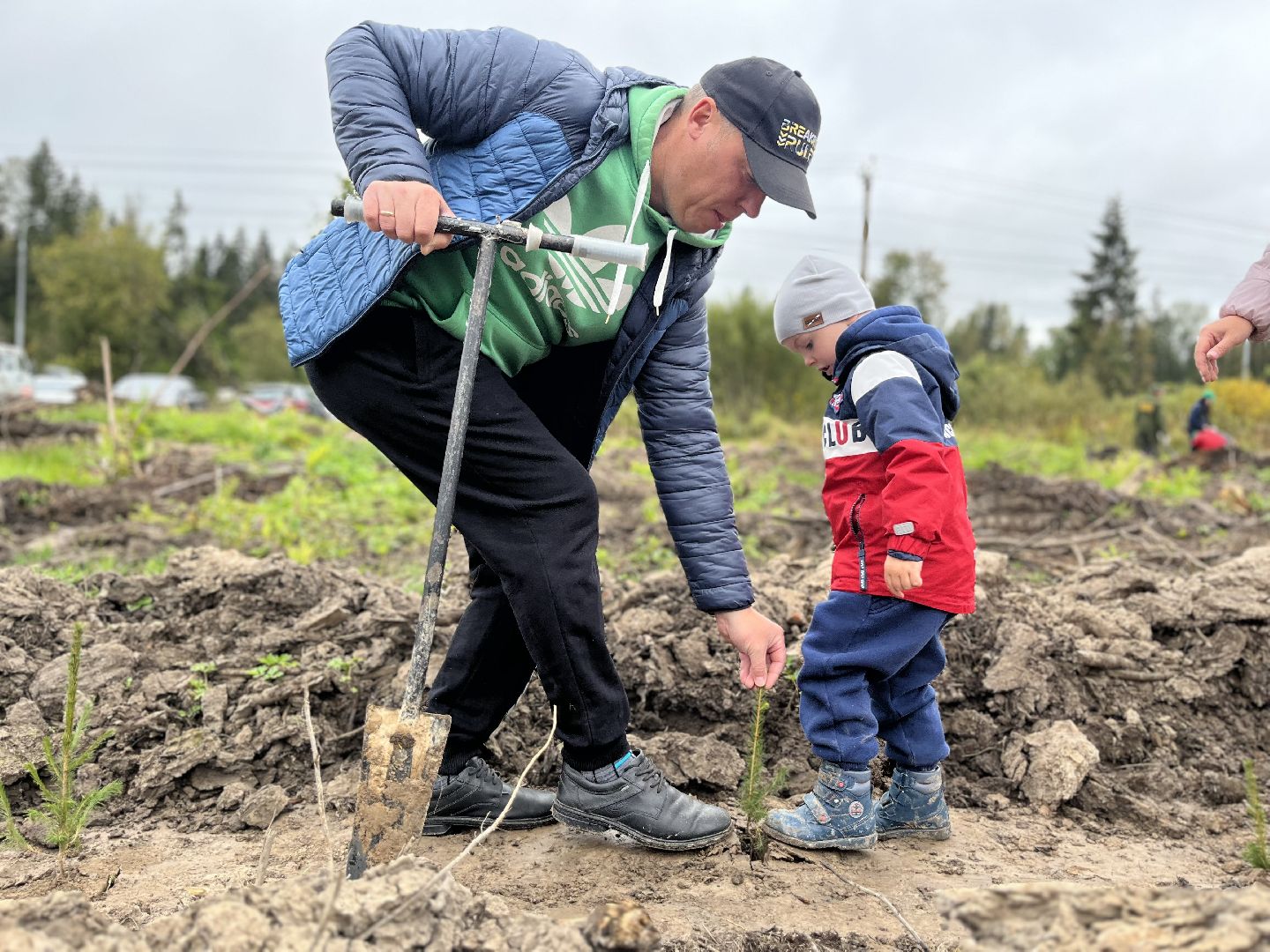 наш лес, наро-фоминск, экология, посади дерево, ёлка,верея,