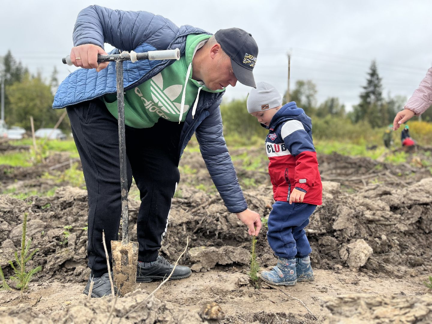 наш лес, наро-фоминск, экология, посади дерево, ёлка,верея,