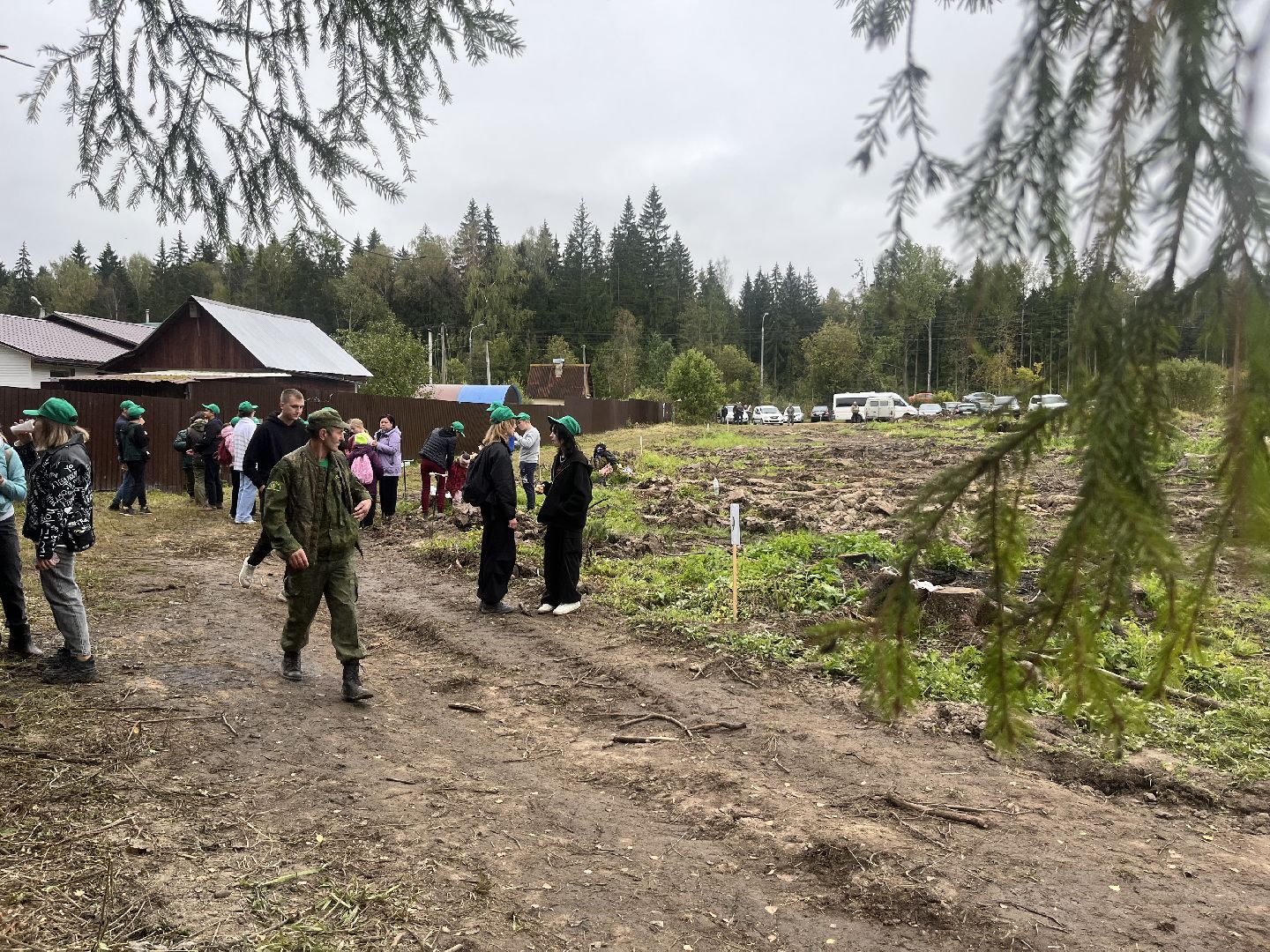 наш лес, наро-фоминск, экология, посади дерево, ёлка,верея,