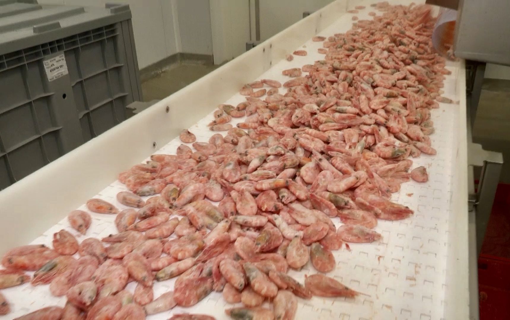 Клин, общество, экономика, бизнес