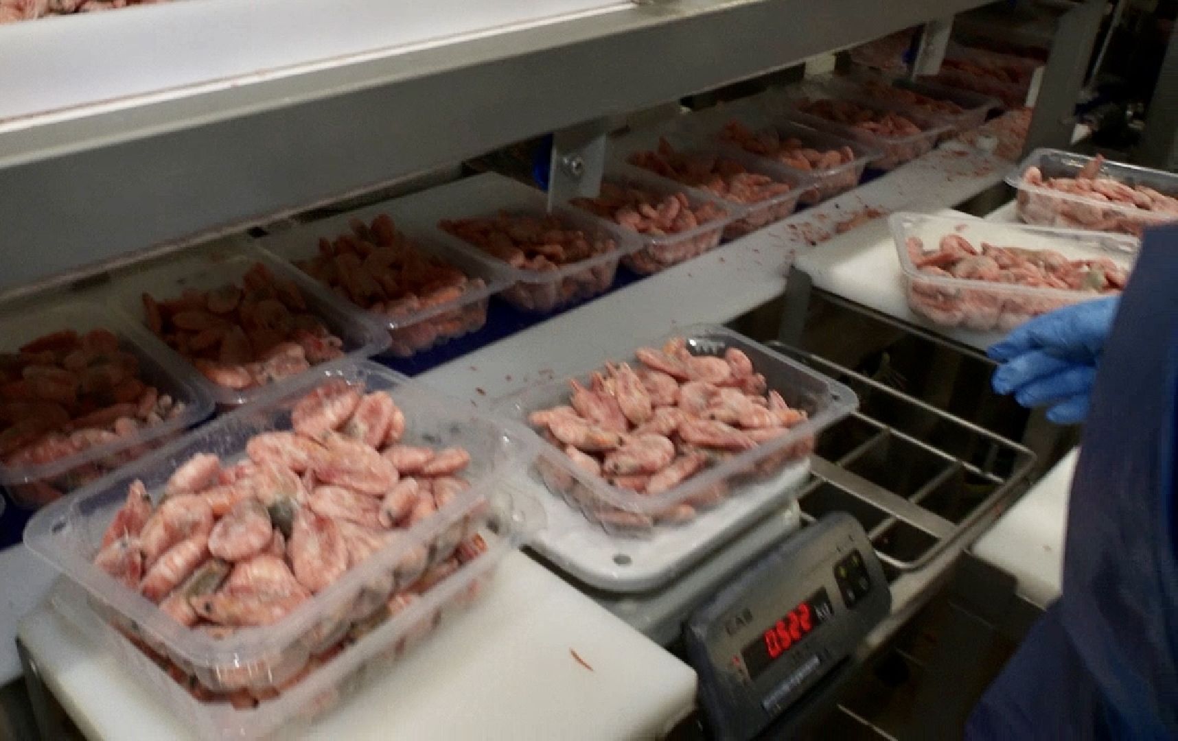 Клин, общество, экономика, бизнес