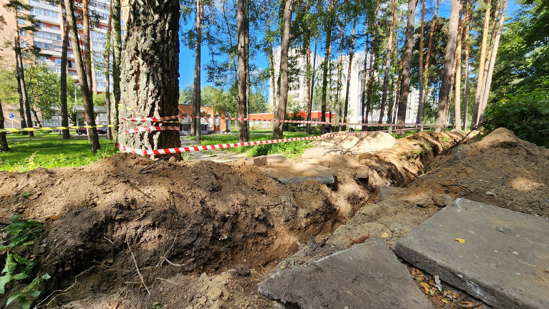 светлый город, областная программа, освещение, благоустройство, Протвино
