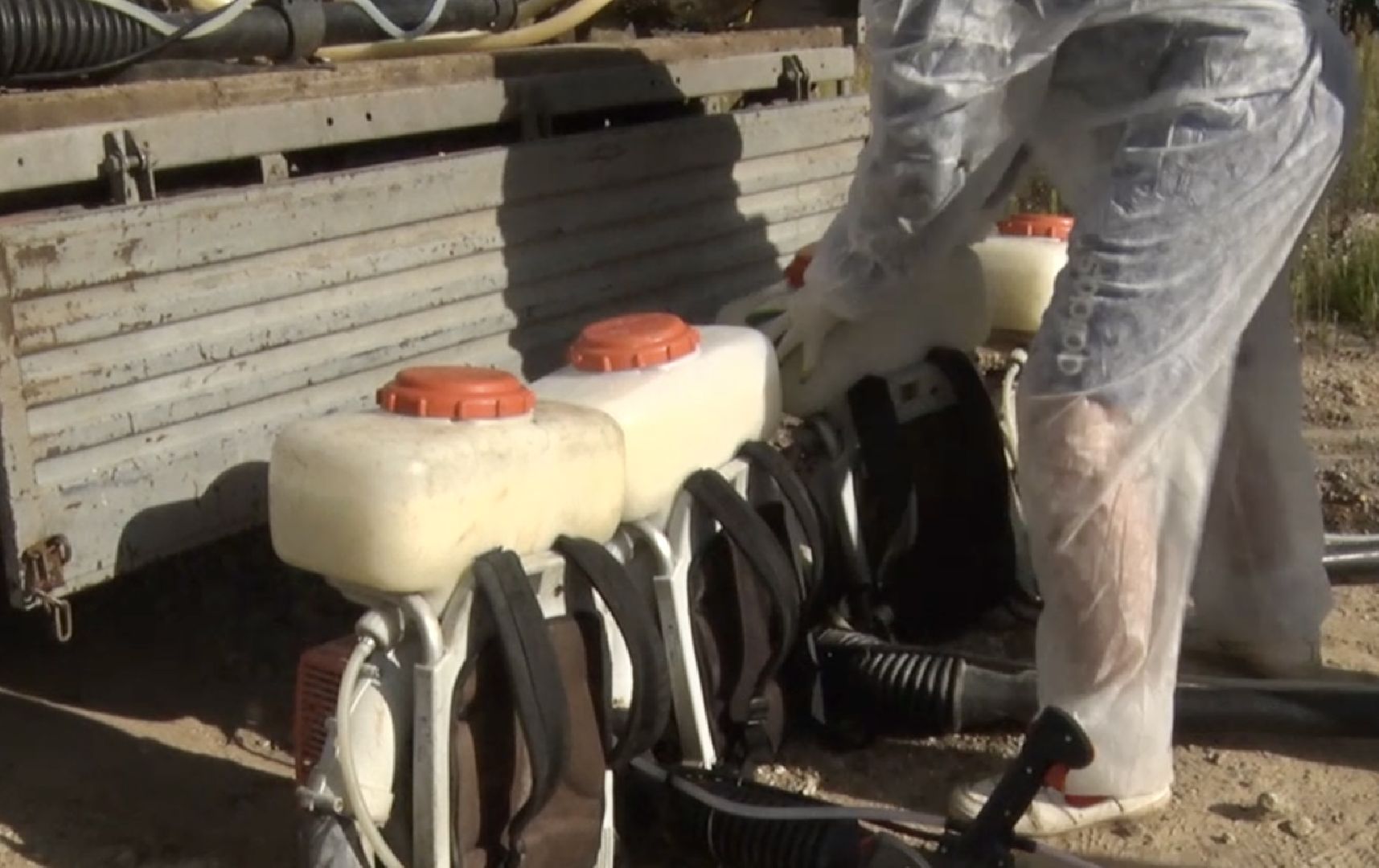 Клин, общество, борщевик, благоустройство