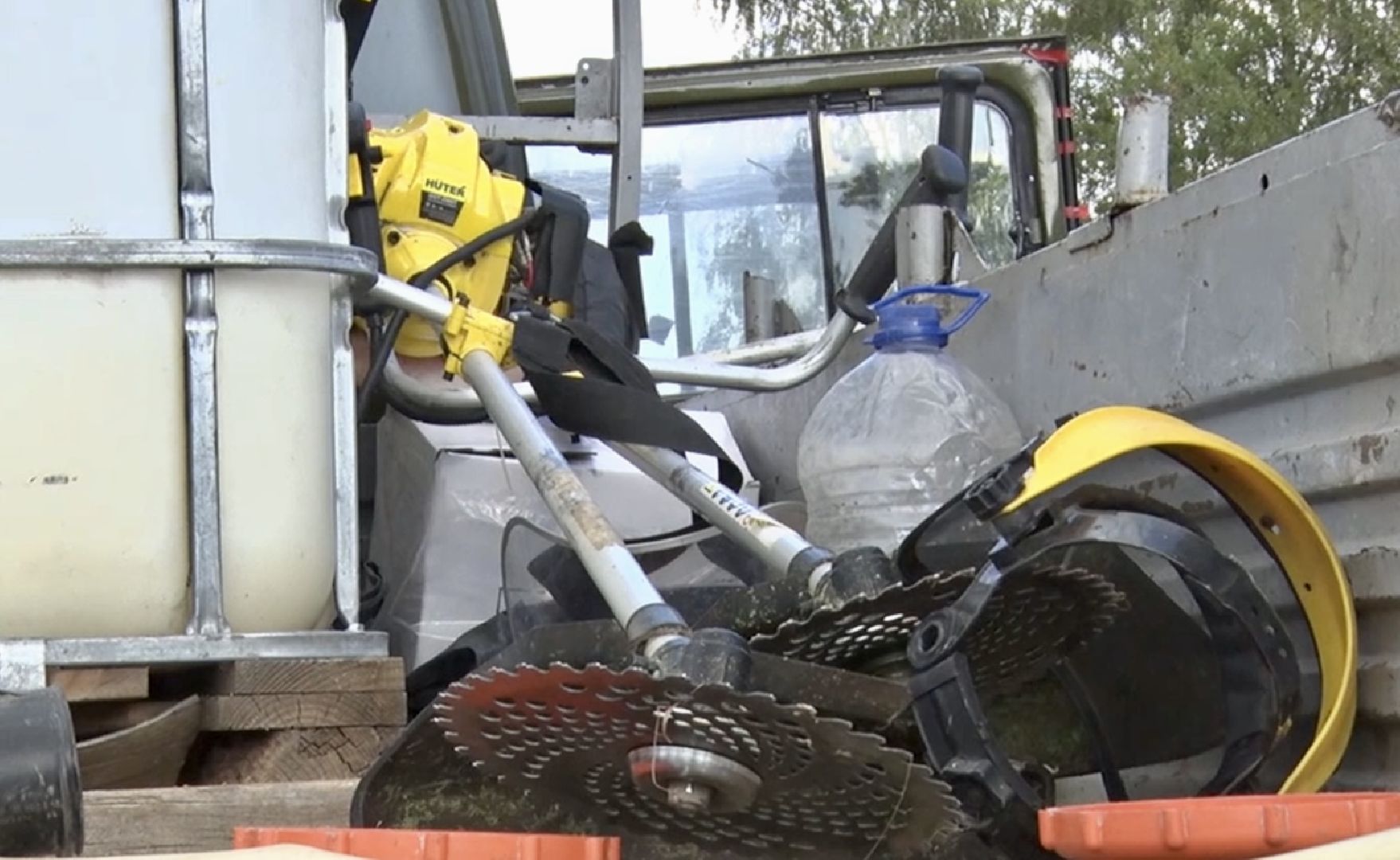 Клин, общество, борщевик, благоустройство