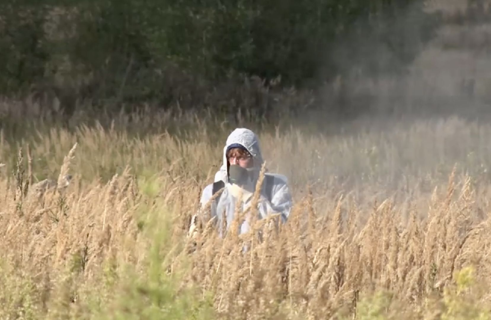 Клин, общество, борщевик, благоустройство