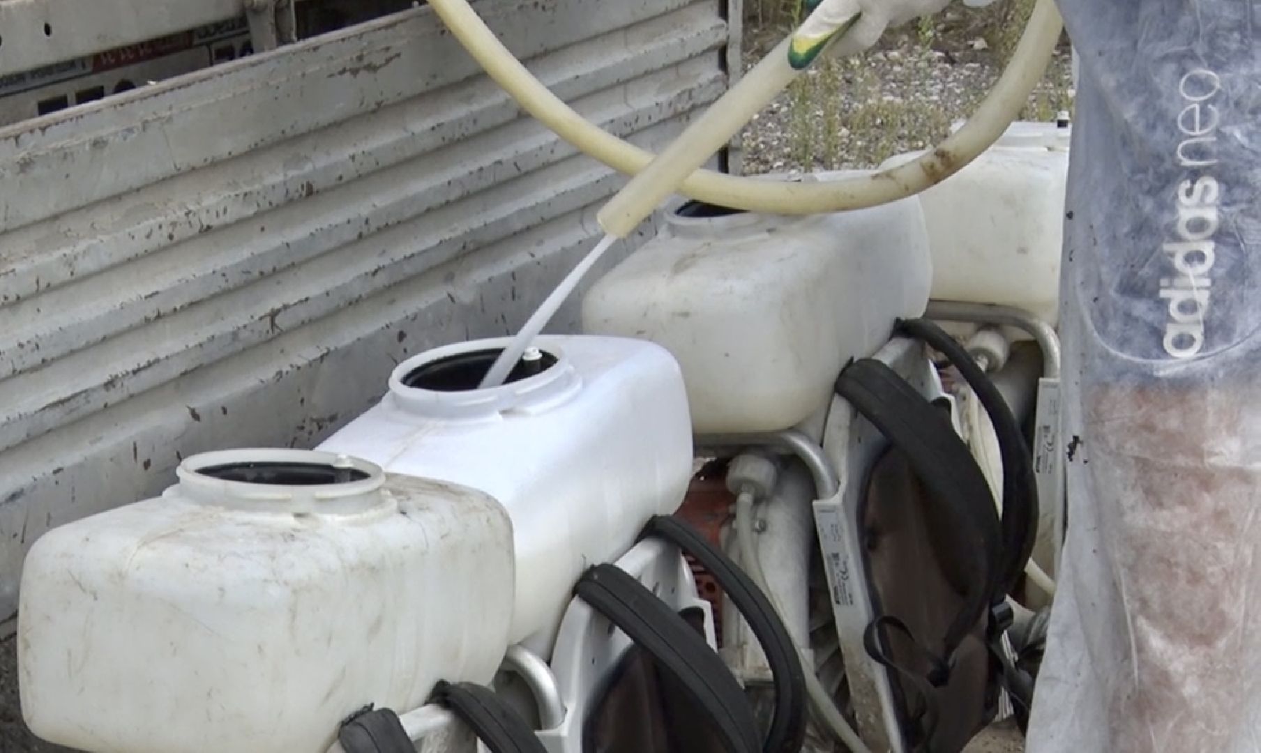 Клин, общество, борщевик, благоустройство