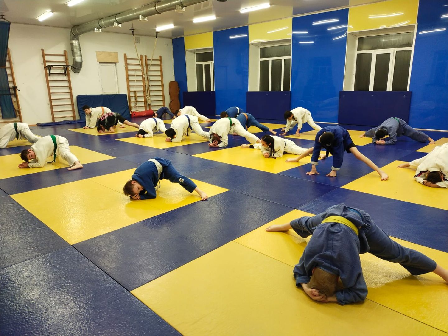 спорт, дзюдо, ивантеевка, победа,