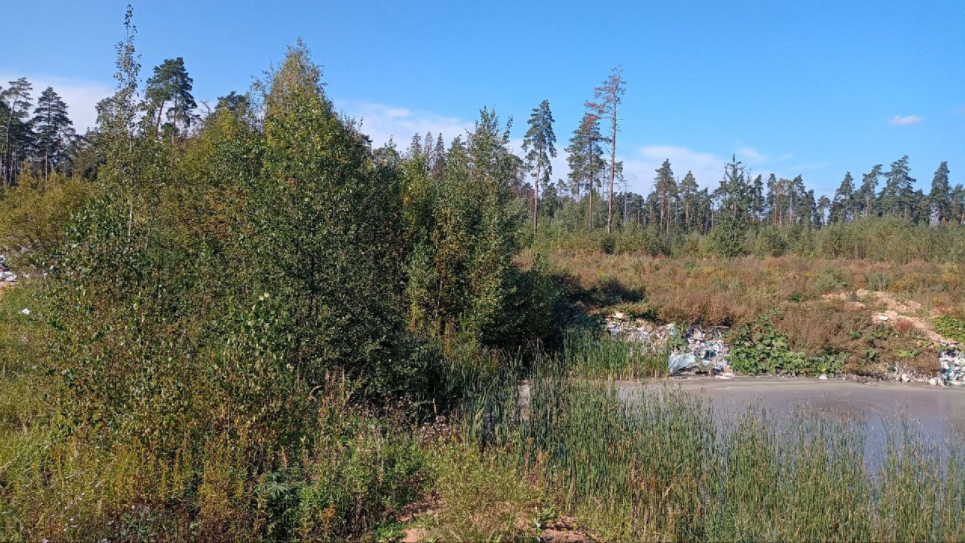 Балашиха, кладбище, озеро, сброс отходов, строительный мусор