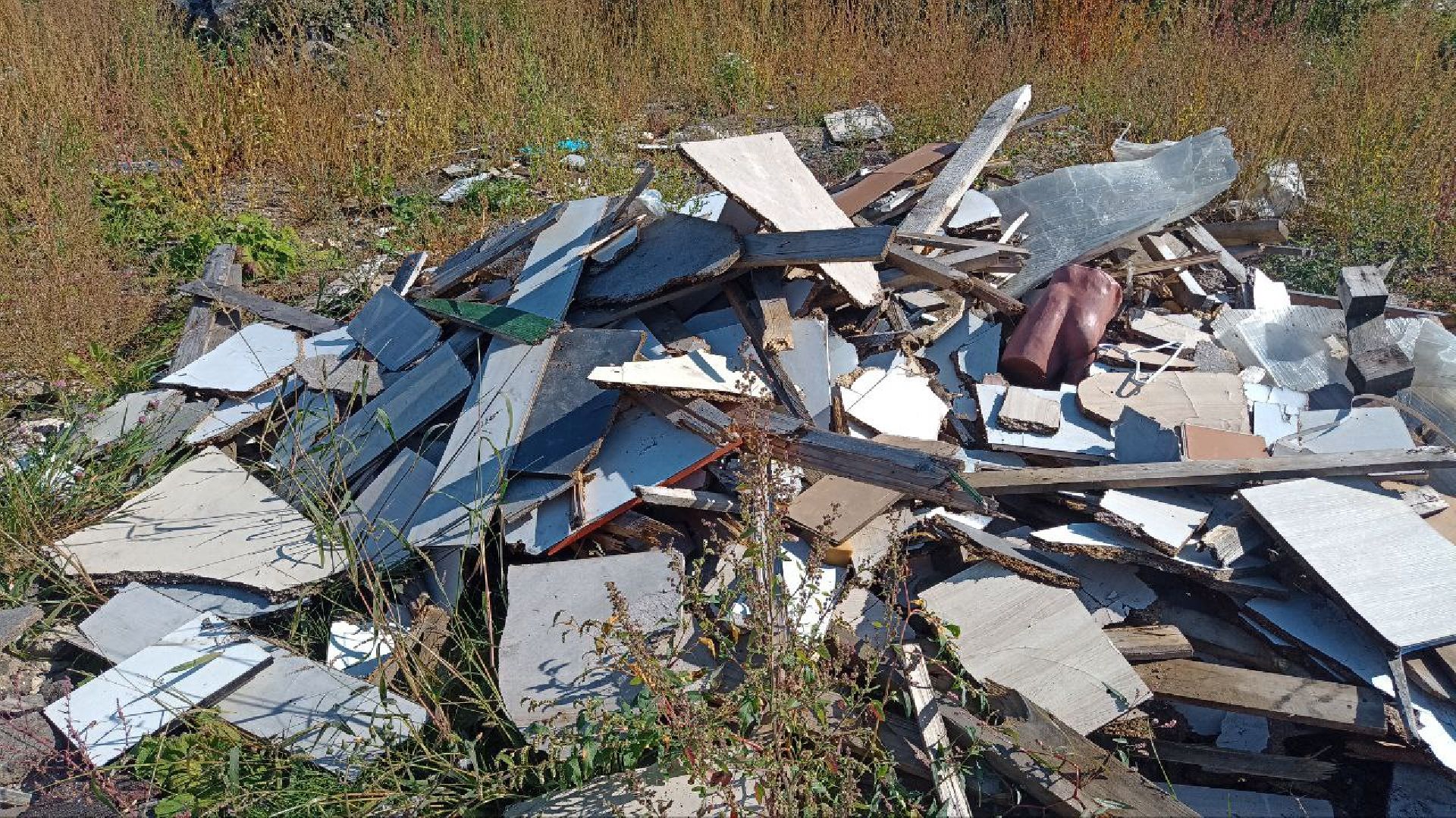 Балашиха, кладбище, озеро, сброс отходов, строительный мусор