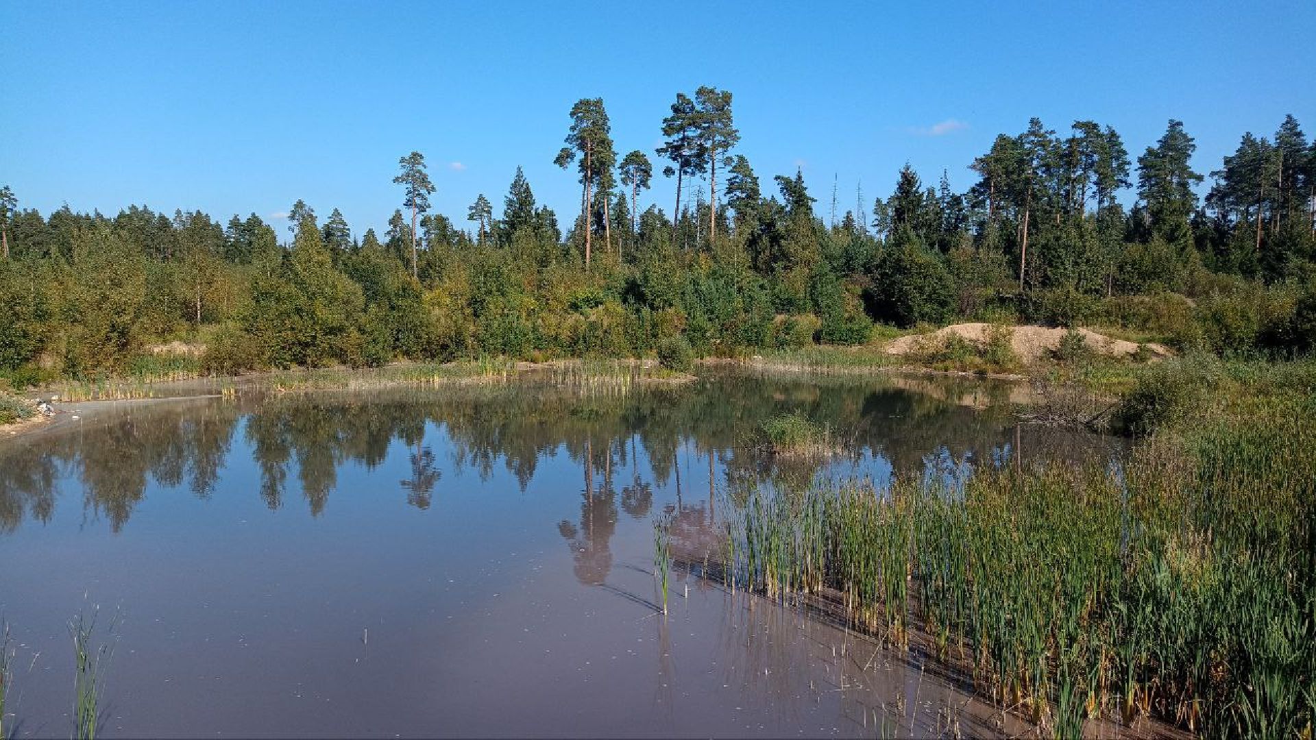 Балашиха, кладбище, озеро, сброс отходов, строительный мусор