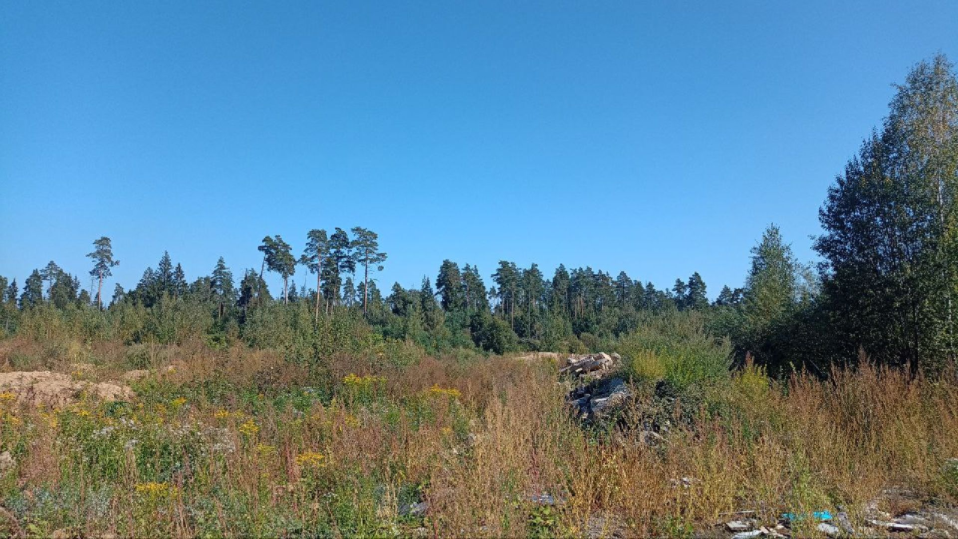 Балашиха, кладбище, озеро, сброс отходов, строительный мусор