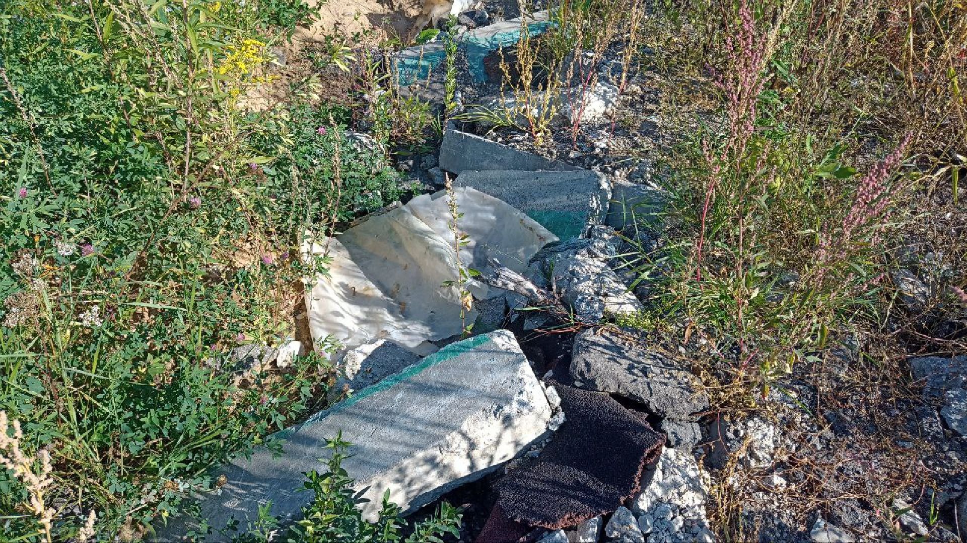 Балашиха, кладбище, озеро, сброс отходов, строительный мусор