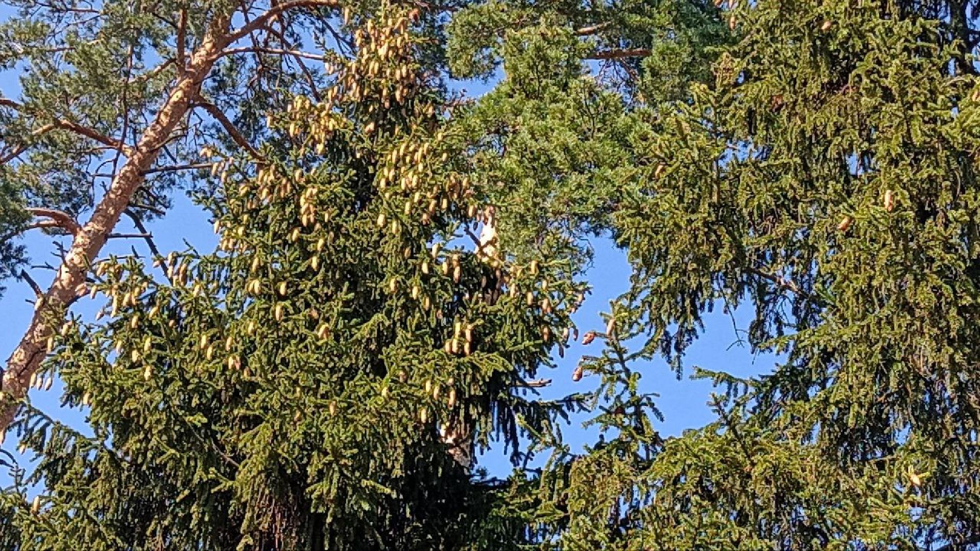 Балашиха, кладбище, озеро, сброс отходов, строительный мусор