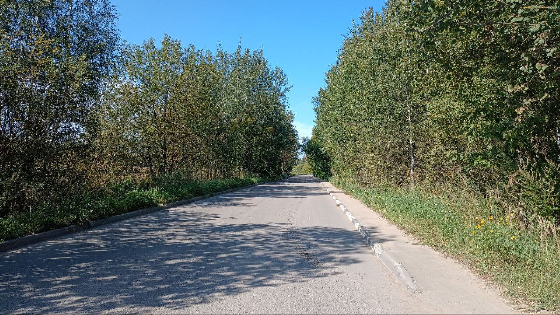 Балашиха, кладбище, озеро, сброс отходов, строительный мусор