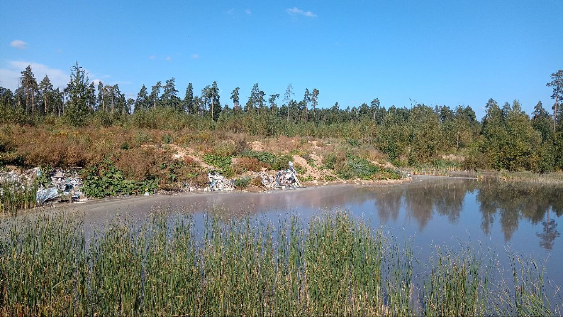 Балашиха, кладбище, озеро, сброс отходов, строительный мусор