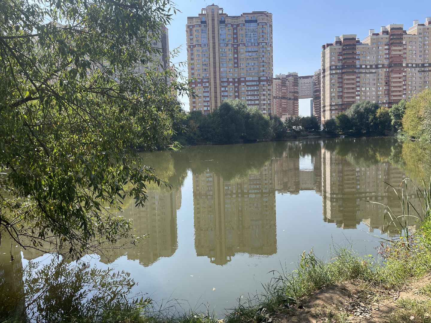 Котельники, пруд, экология, рыба