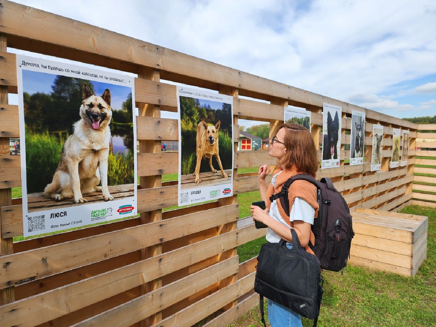 Солнечногорск, животные, приют, благотворительность, фотовыставка
