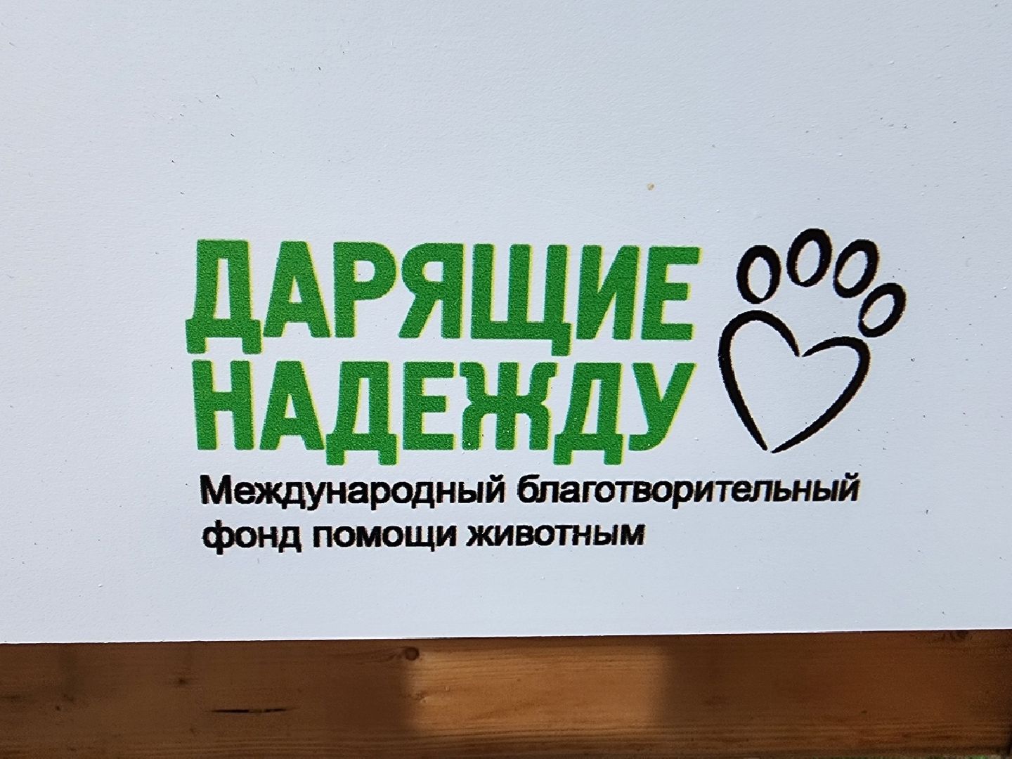 Солнечногорск, животные, приют, благотворительность, фотовыставка