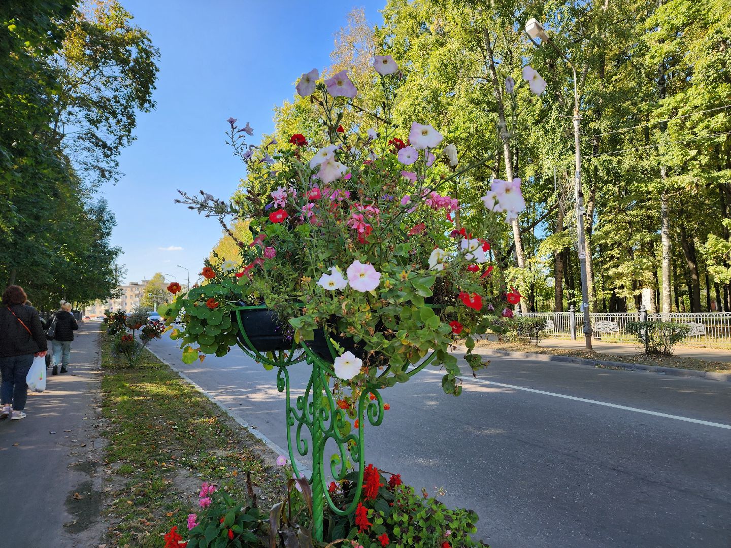 воскресенск, благоустройство, цветы, город,