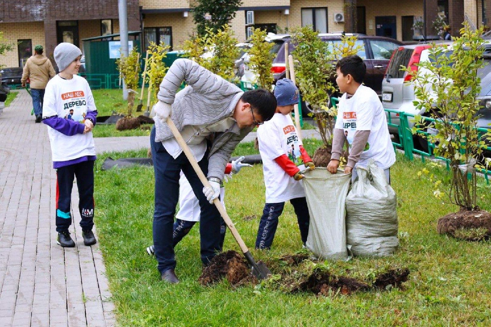 Наш лес, экология, Мытищи, 16 сентября