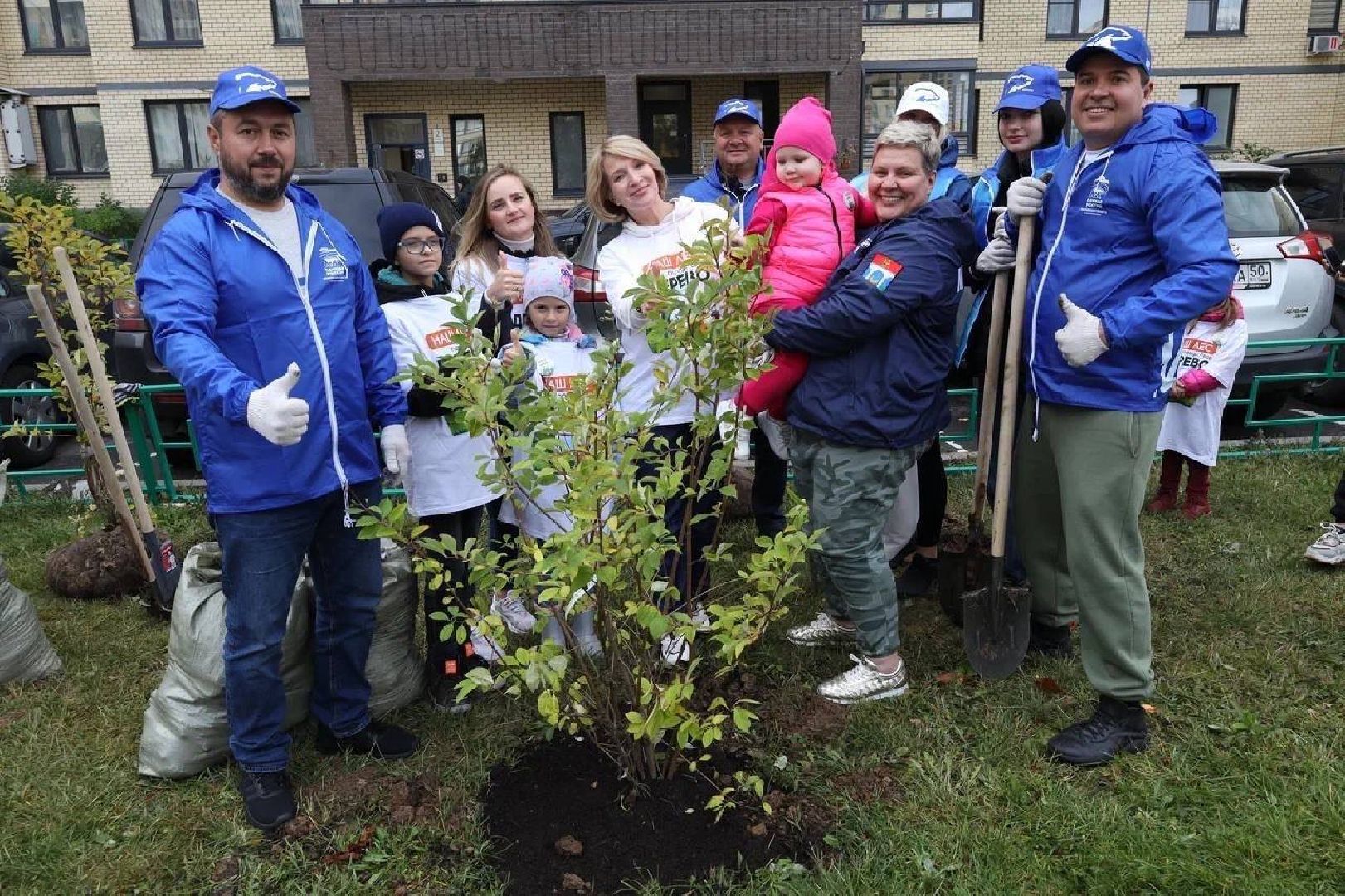 Наш лес, экология, Мытищи, 16 сентября