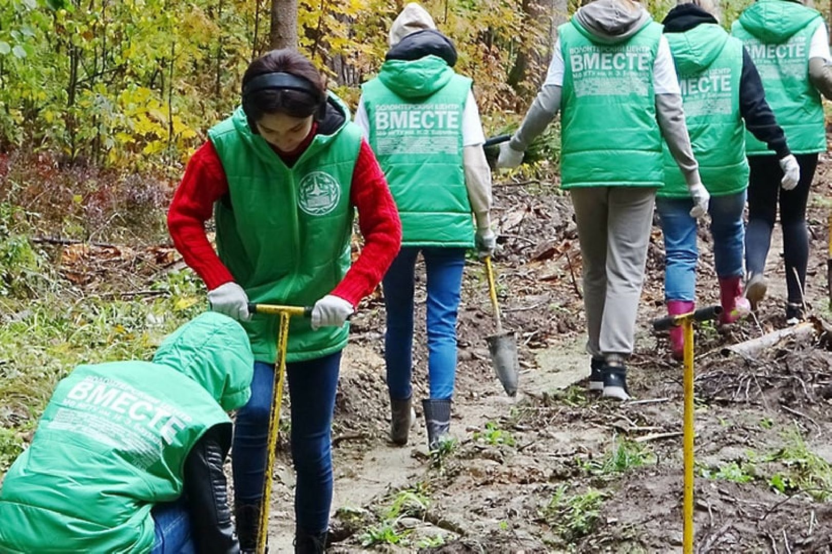Наш лес, экология, Мытищи, 16 сентября