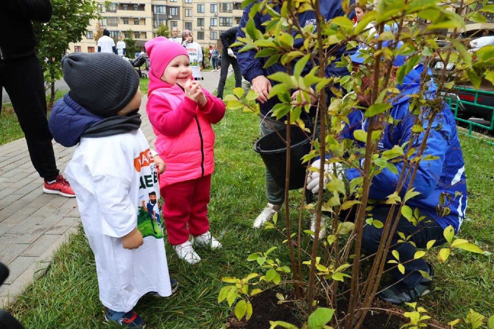 Наш лес, экология, Мытищи, 16 сентября