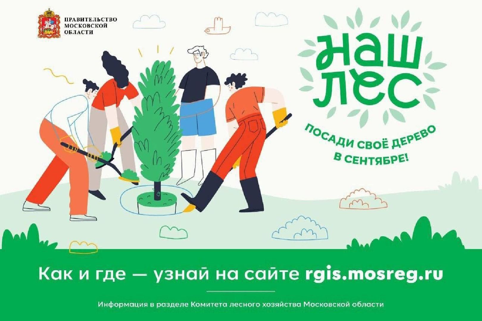 Наш лес, экология, Мытищи, 16 сентября