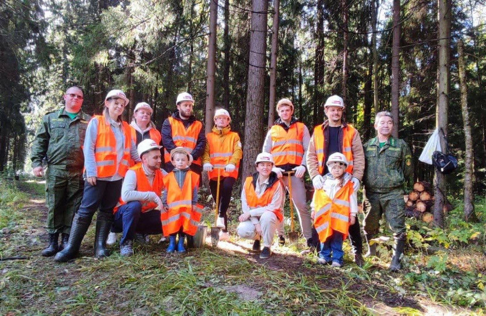 Наш лес, экология, Мытищи, 16 сентября
