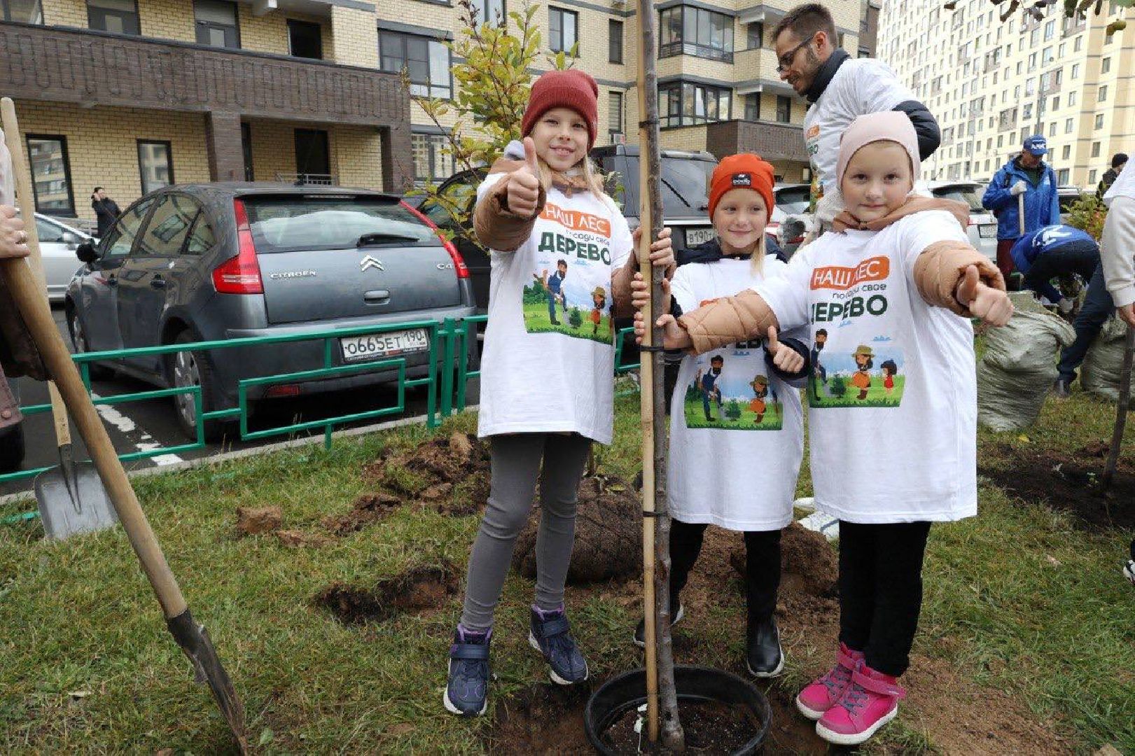 Наш лес, экология, Мытищи, 16 сентября
