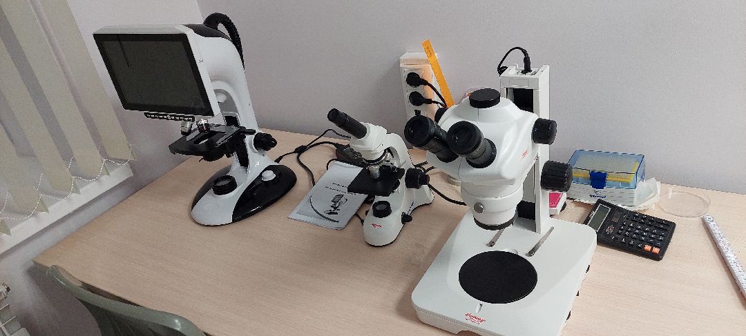 Пущино Города