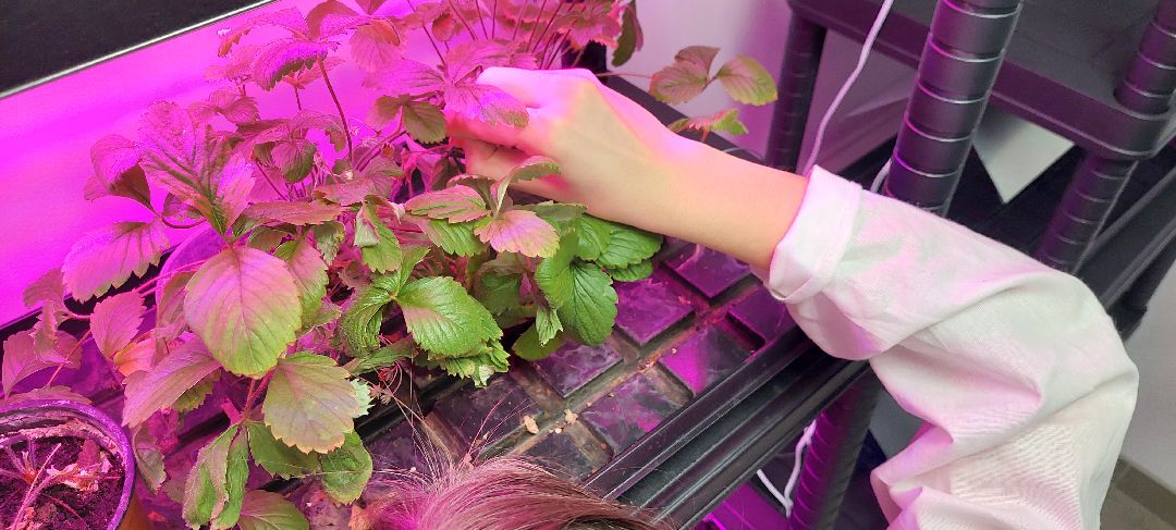 Пущино Города