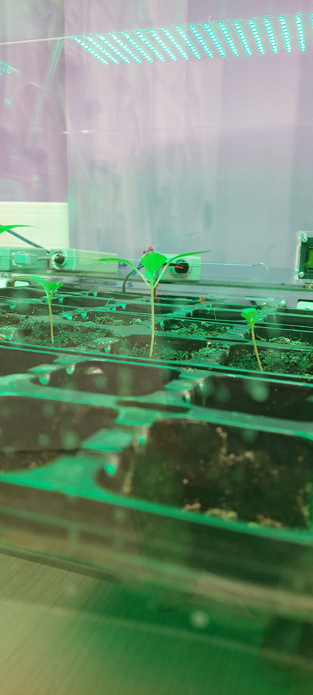 Пущино Города