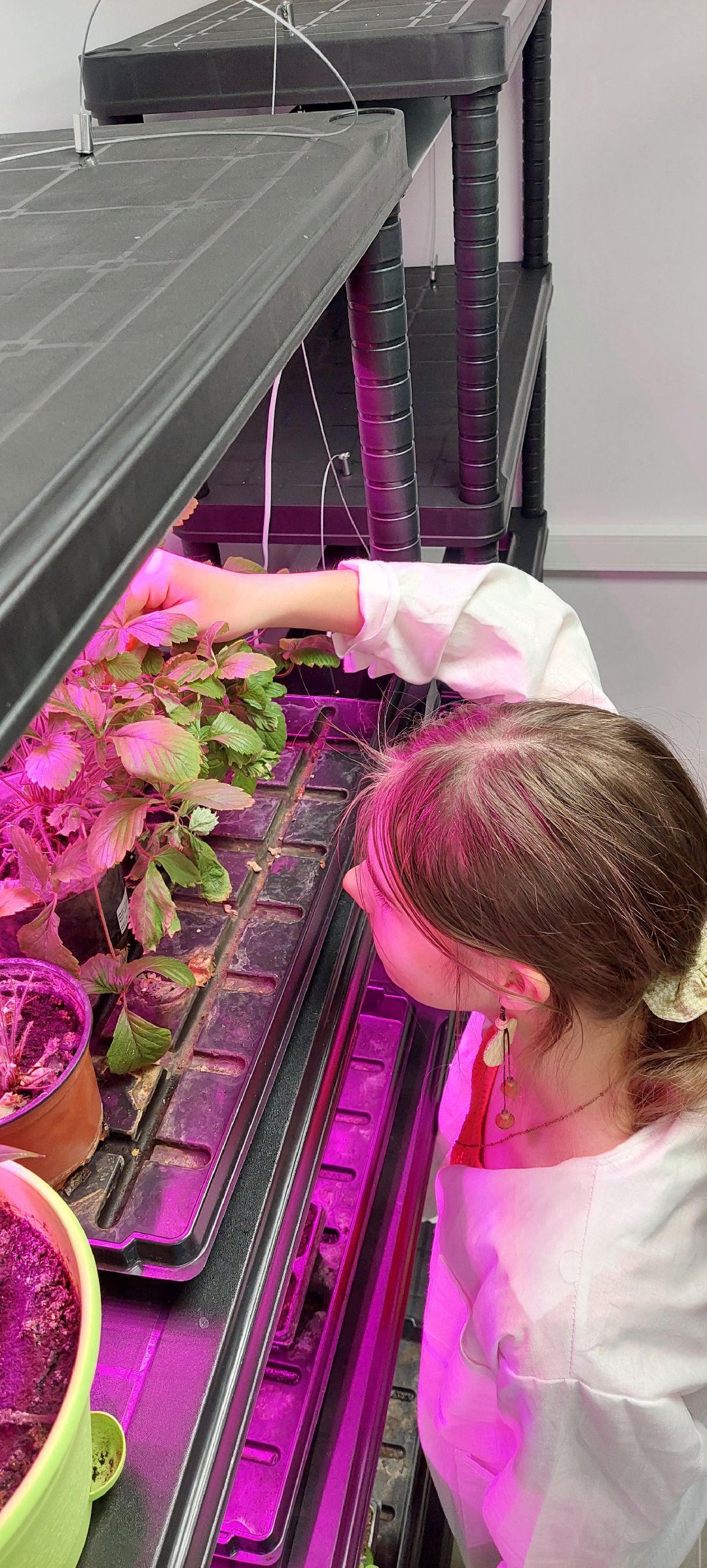 Пущино Города