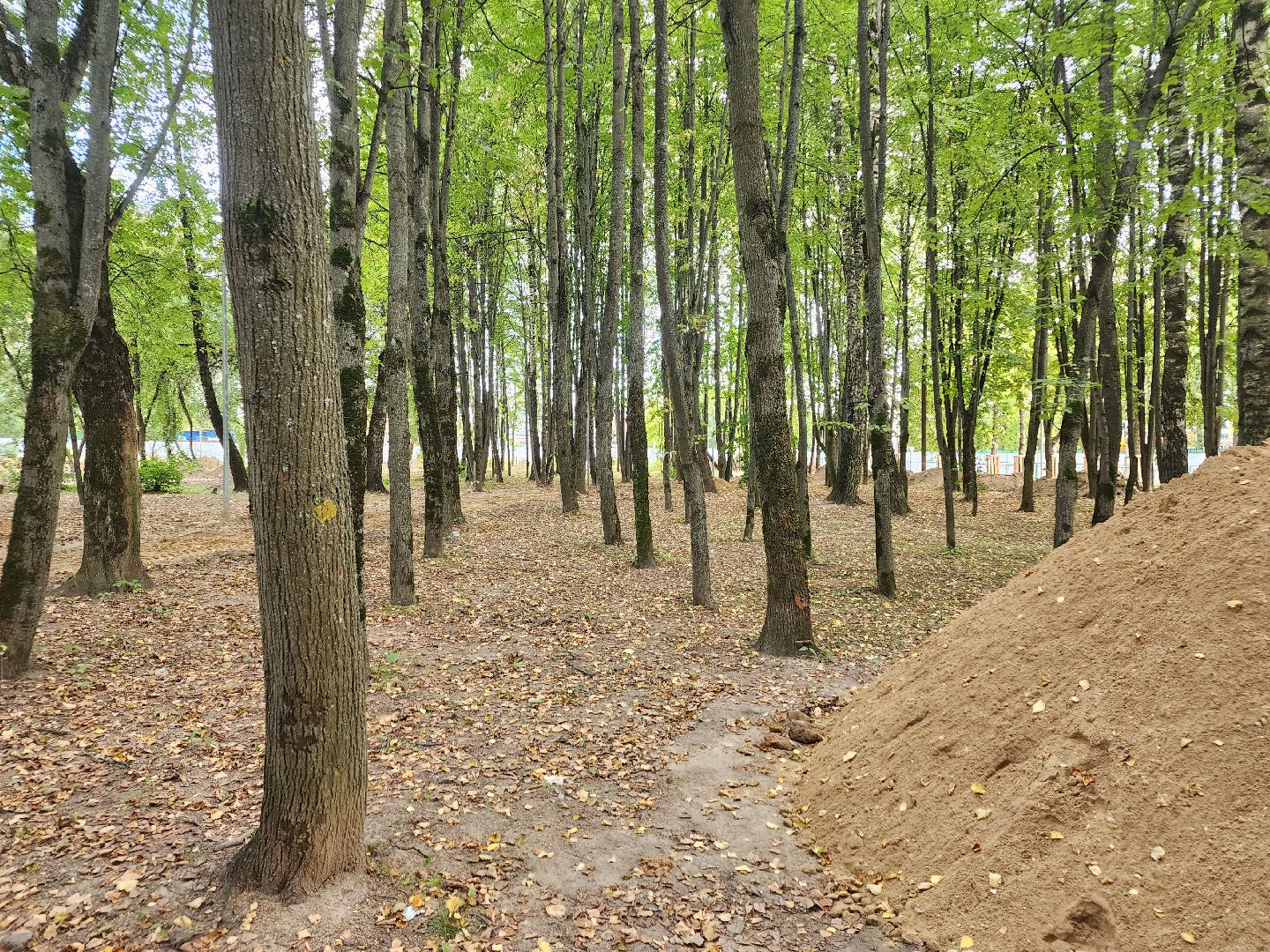 Балгоустройство, сквер, Дедовск