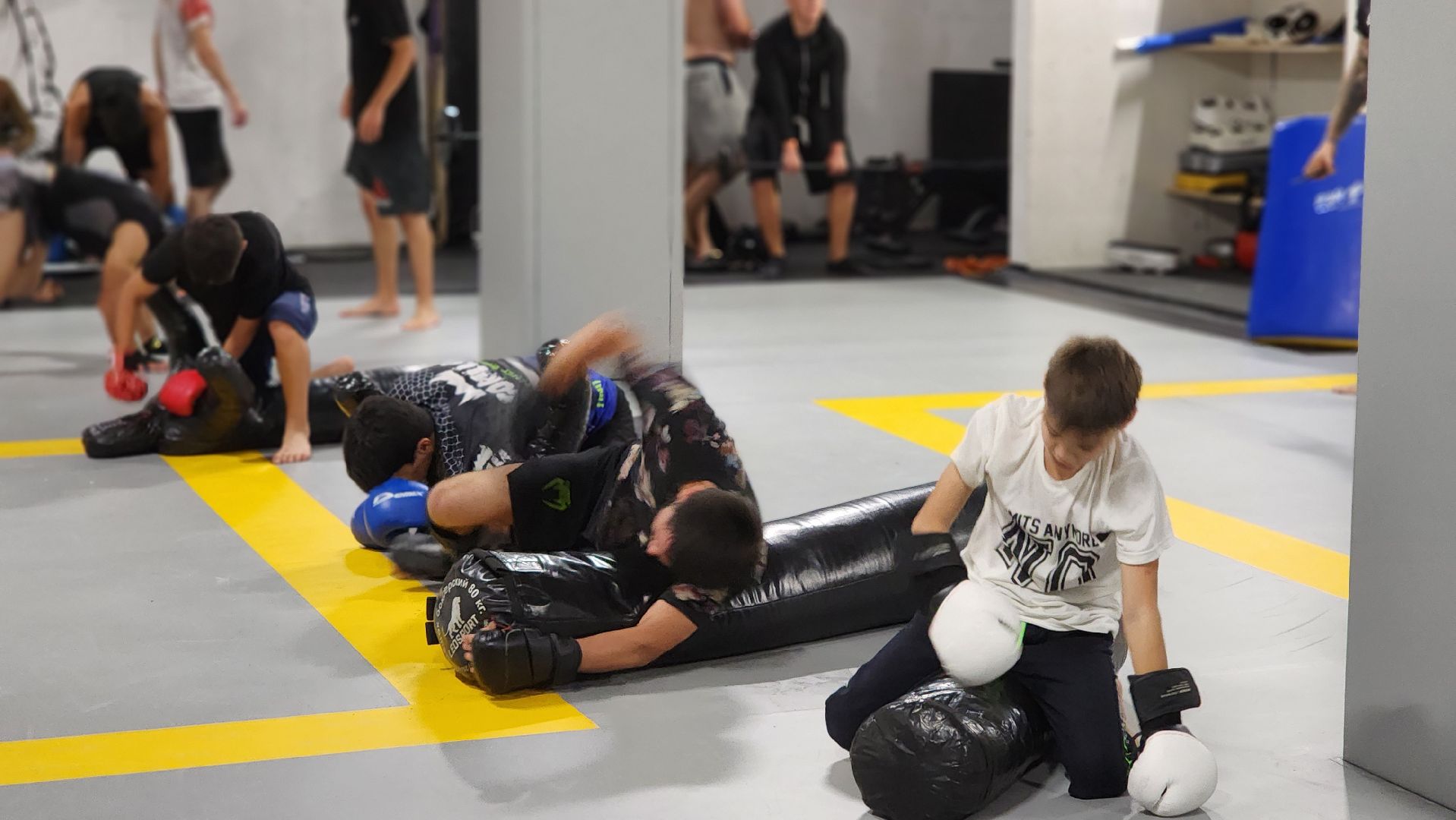 Спорт, ММА, единоборства, бокс, борьба, Пушкино, г.о. Пушкинский