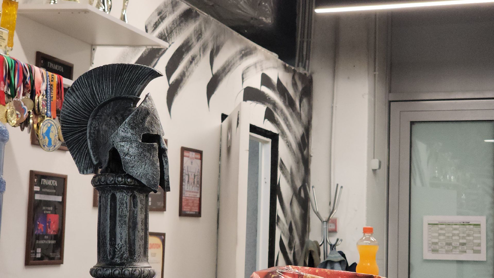 Спорт, ММА, единоборства, бокс, борьба, Пушкино, г.о. Пушкинский