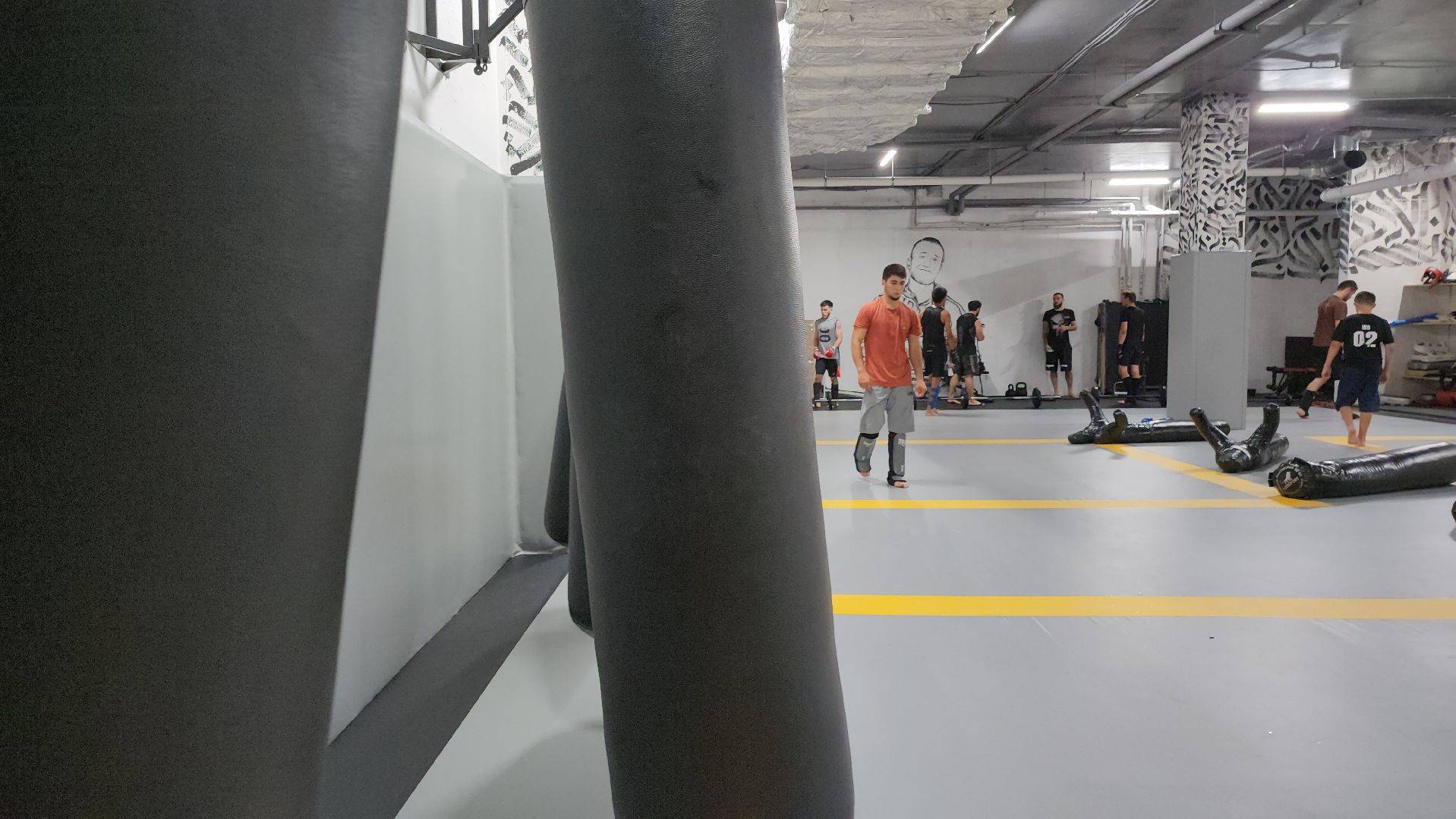 Спорт, ММА, единоборства, бокс, борьба, Пушкино, г.о. Пушкинский