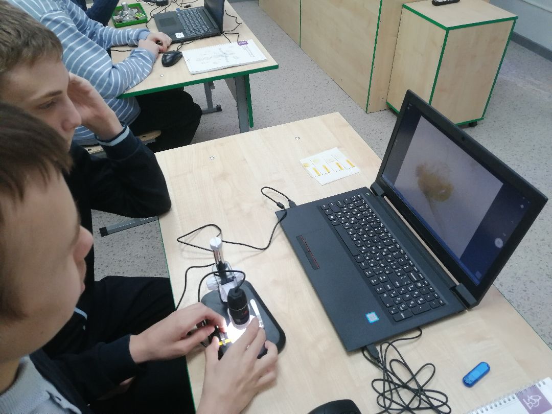 Протвино Образование