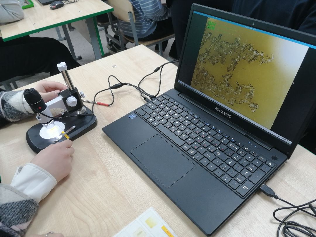 Протвино Образование