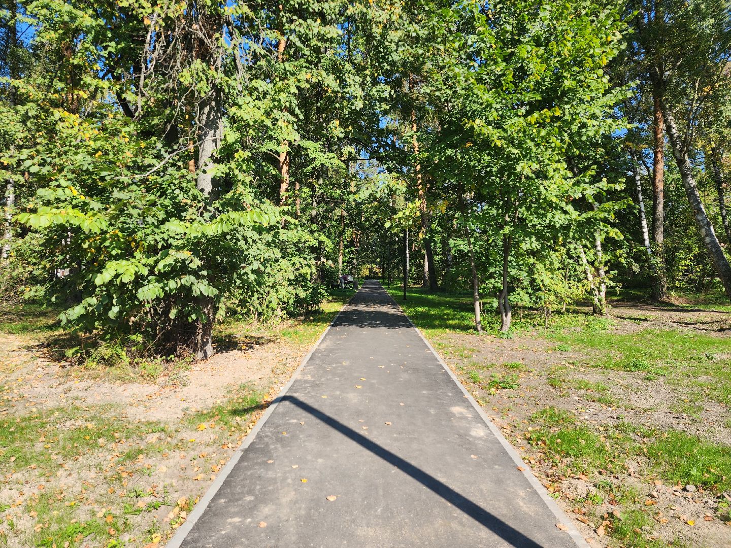 Благоустройство, парк, Глухово, Ногинск, Богородский городской парк