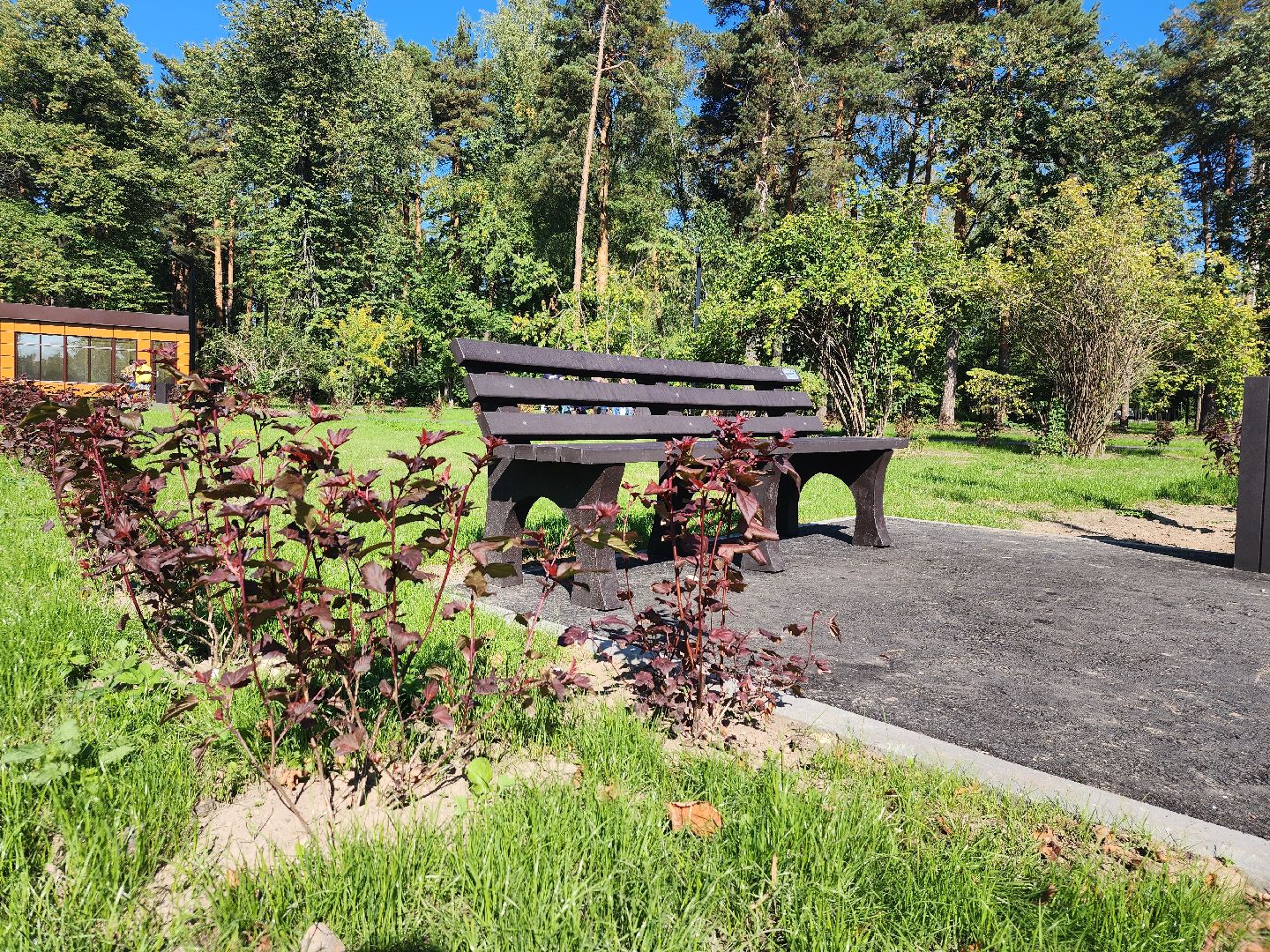 Благоустройство, парк, Глухово, Ногинск, Богородский городской парк